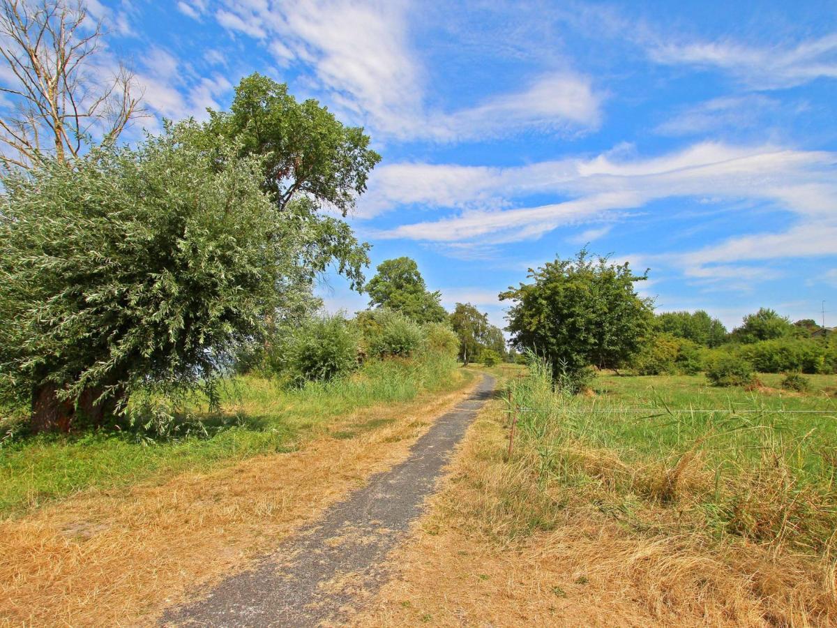 Ferienwohnungen Rechlin See 11030 Dış mekan fotoğraf
